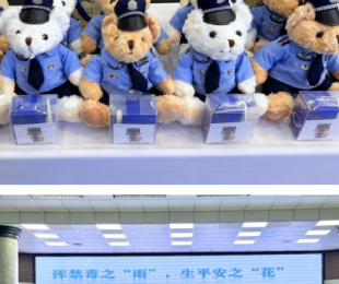 �ӽ���֮���ꡱ ��ƽ��֮������ �껨����չ�ĵ�ҵ������ѵ�߰�ȫ�������������